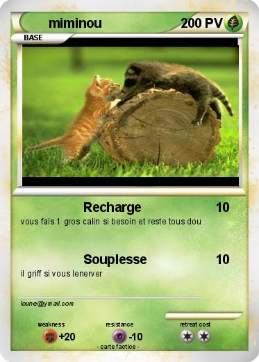 Pokemon miminou