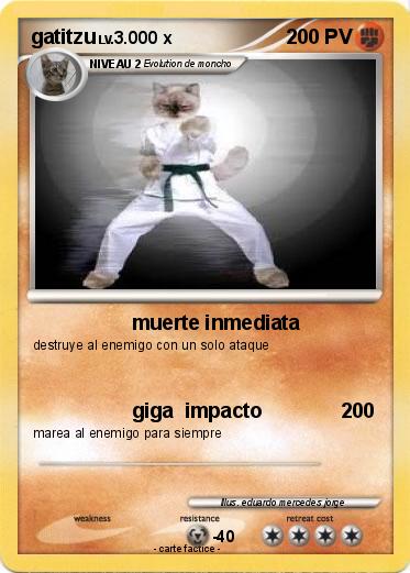 Pokemon gatitzu