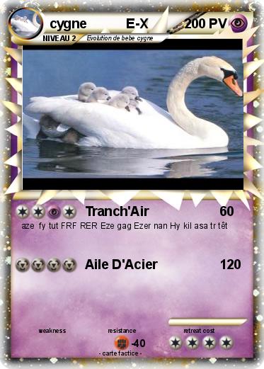 Pokemon cygne           E-X