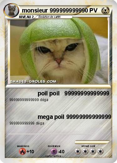 Pokemon monsieur 9999999999