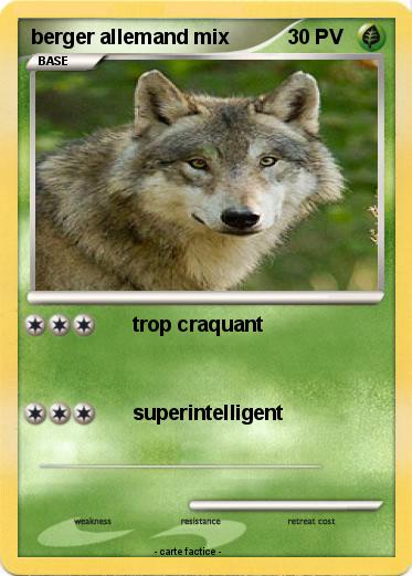 Pokemon berger allemand mix