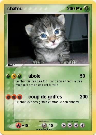 Pokemon chatou