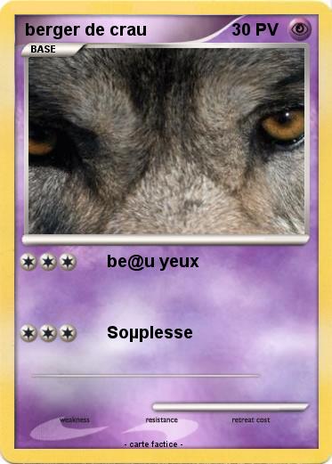 Pokemon berger de crau