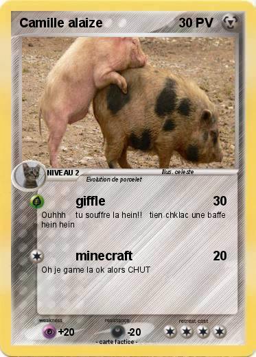 Pokemon Camille alaize