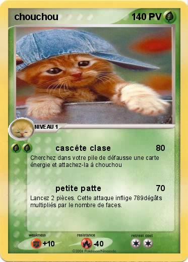Pokemon chouchou