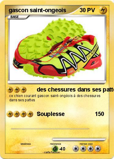 Pokemon gascon saint-ongeois