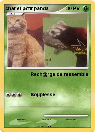 Pokemon chat et p£tit panda