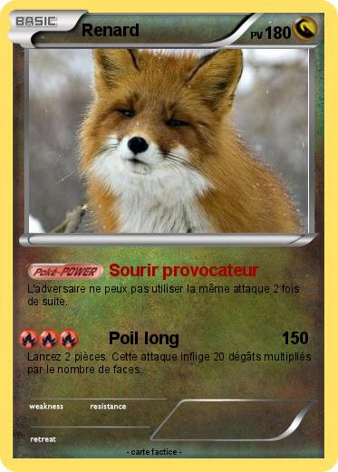 Pokemon Renard
