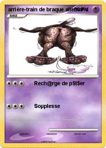 Pokemon arrière-train de braque allemand