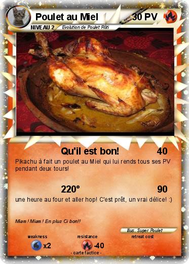 Pokemon Poulet au Miel