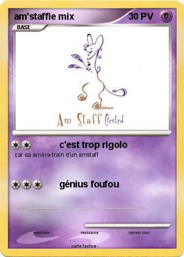 Pokemon am'staffie mix