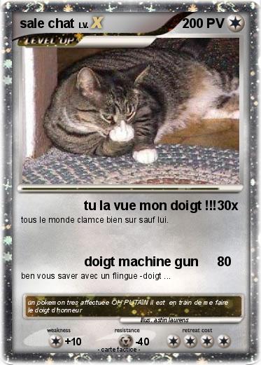 Pokemon sale chat