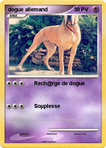 Pokemon dogue allemand