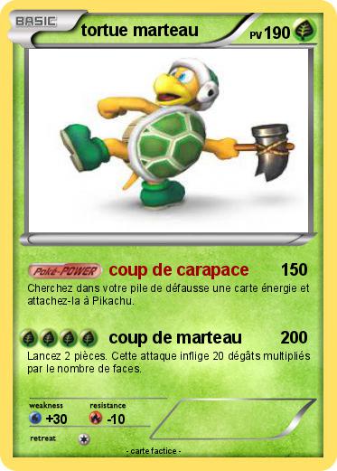 Pokemon tortue marteau