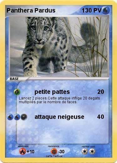 Pokemon Panthera Pardus