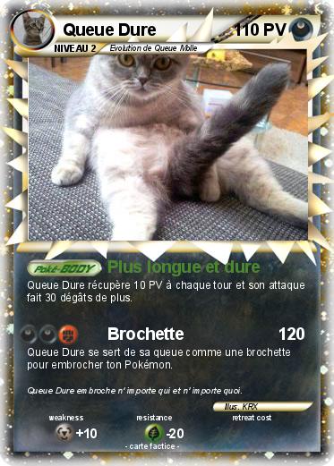 Pokemon Queue Dure