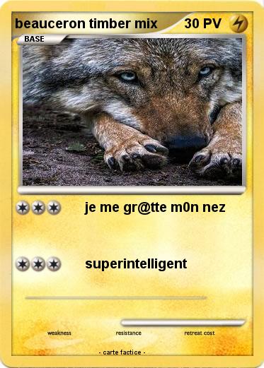Pokemon beauceron timber mix