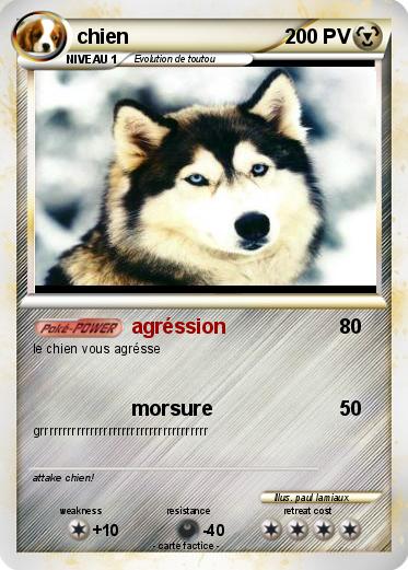 Pokemon chien