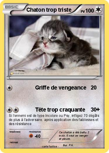 Pokemon Chaton trop triste