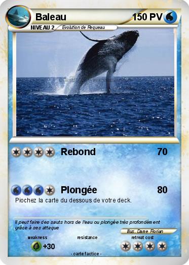 Pokemon Baleau