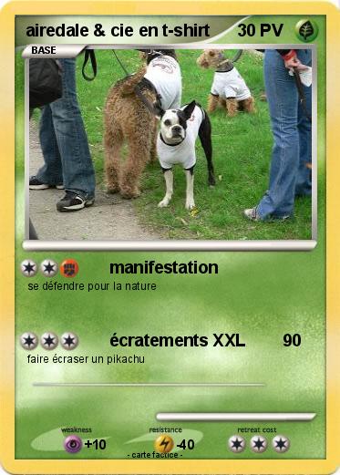 Pokemon airedale & cie en t-shirt