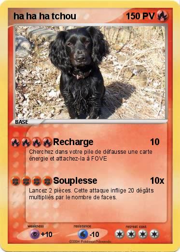 Pokemon ha ha ha tchou