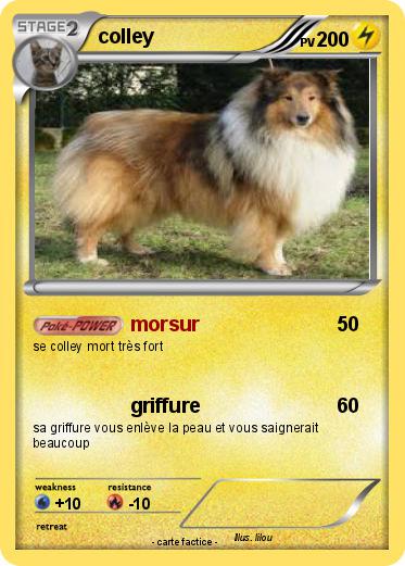 Pokemon colley