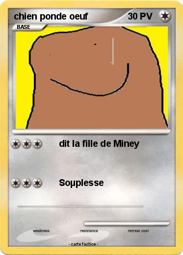 Pokemon chien ponde oeuf