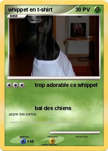 Pokemon whippet en t-shirt