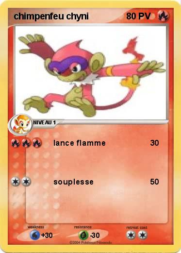 Pokemon chimpenfeu chyni