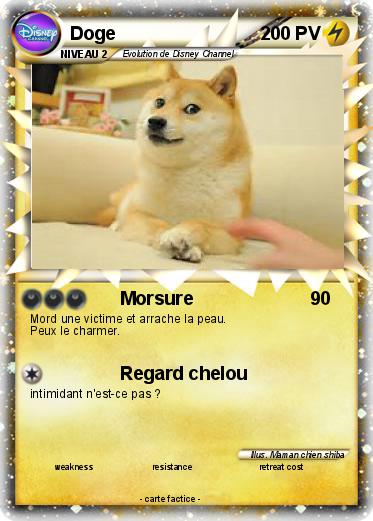 Pokemon Doge