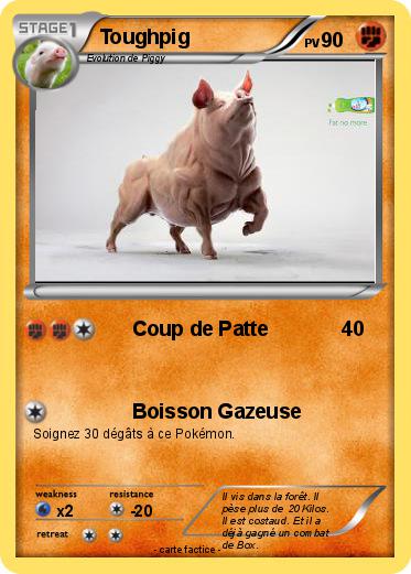 Pokemon Toughpig