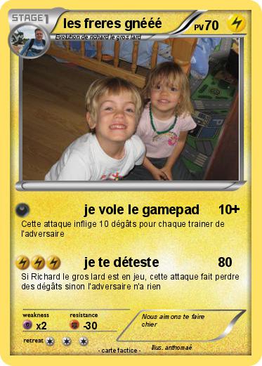 Pokemon les freres gnééé