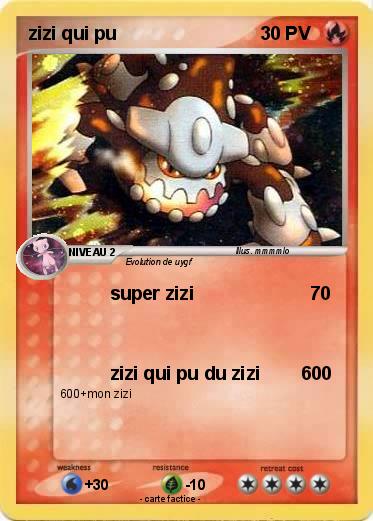 Pokemon zizi qui pu