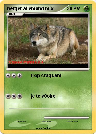 Pokemon berger allemand mix