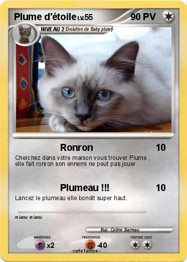 Pokemon Plume d'étoile