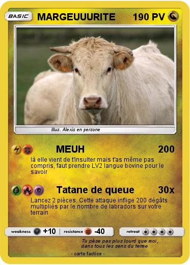 Pokemon MARGEUUURITE