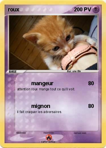 Pokemon roux