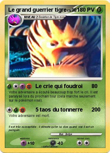 Pokemon Le grand guerrier tigre