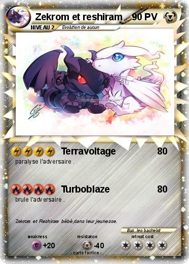 Pokemon Zekrom et reshiram