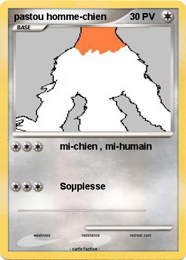 Pokemon pastou homme-chien