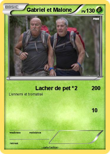 Pokemon Gabriel et Malone