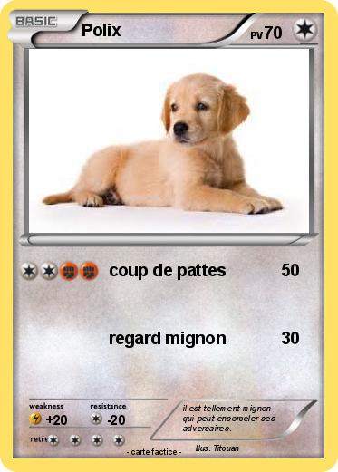 Pokemon Polix