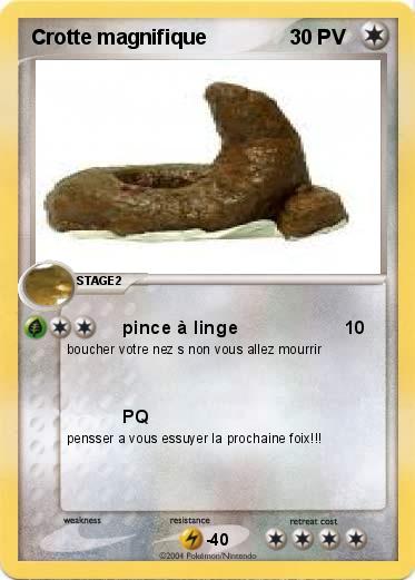 Pokemon Crotte magnifique