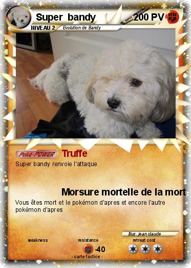 Pokemon Super  bandy