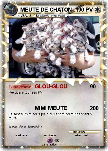 Pokemon MEUTE DE CHATON