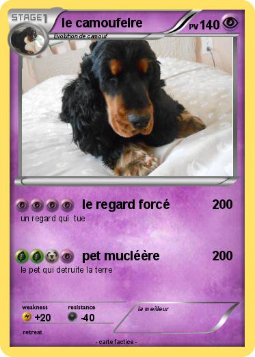 Pokemon le camoufelre