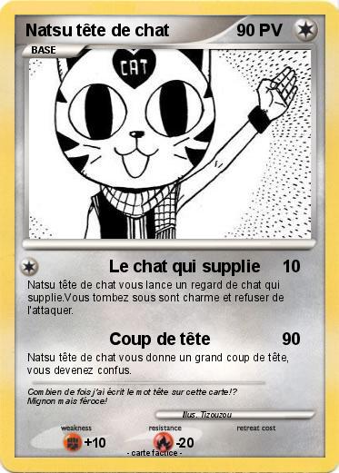 Pokemon Natsu tête de chat
