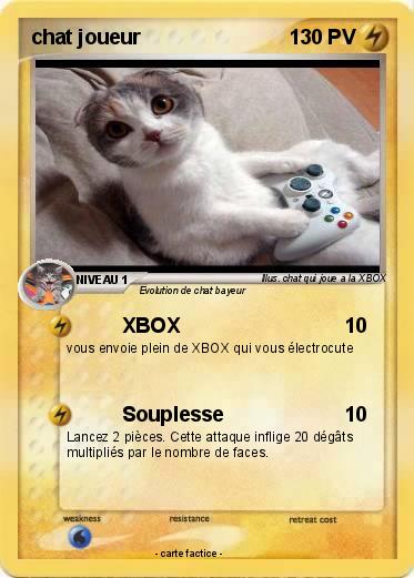 Pokemon chat joueur