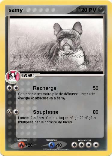 Pokemon samy